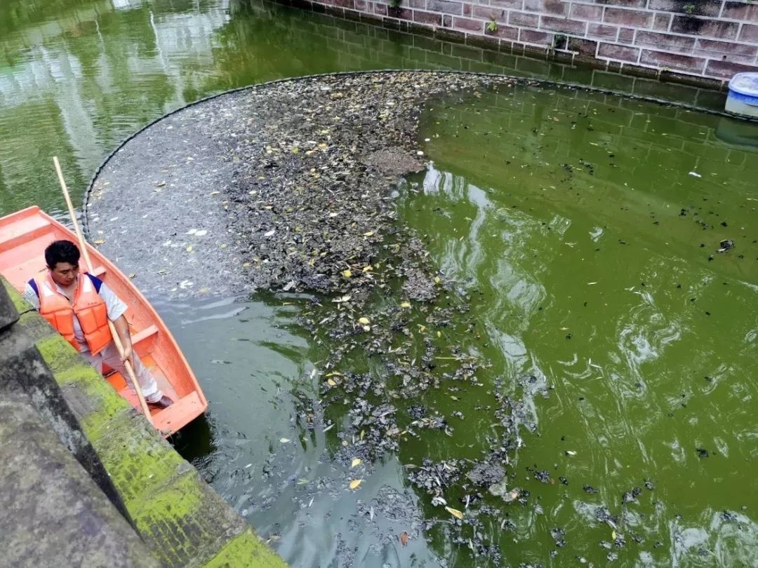 河道日常维护与运营承包